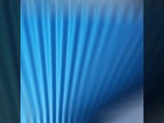 PVC 플라스틱 지붕 쉬트